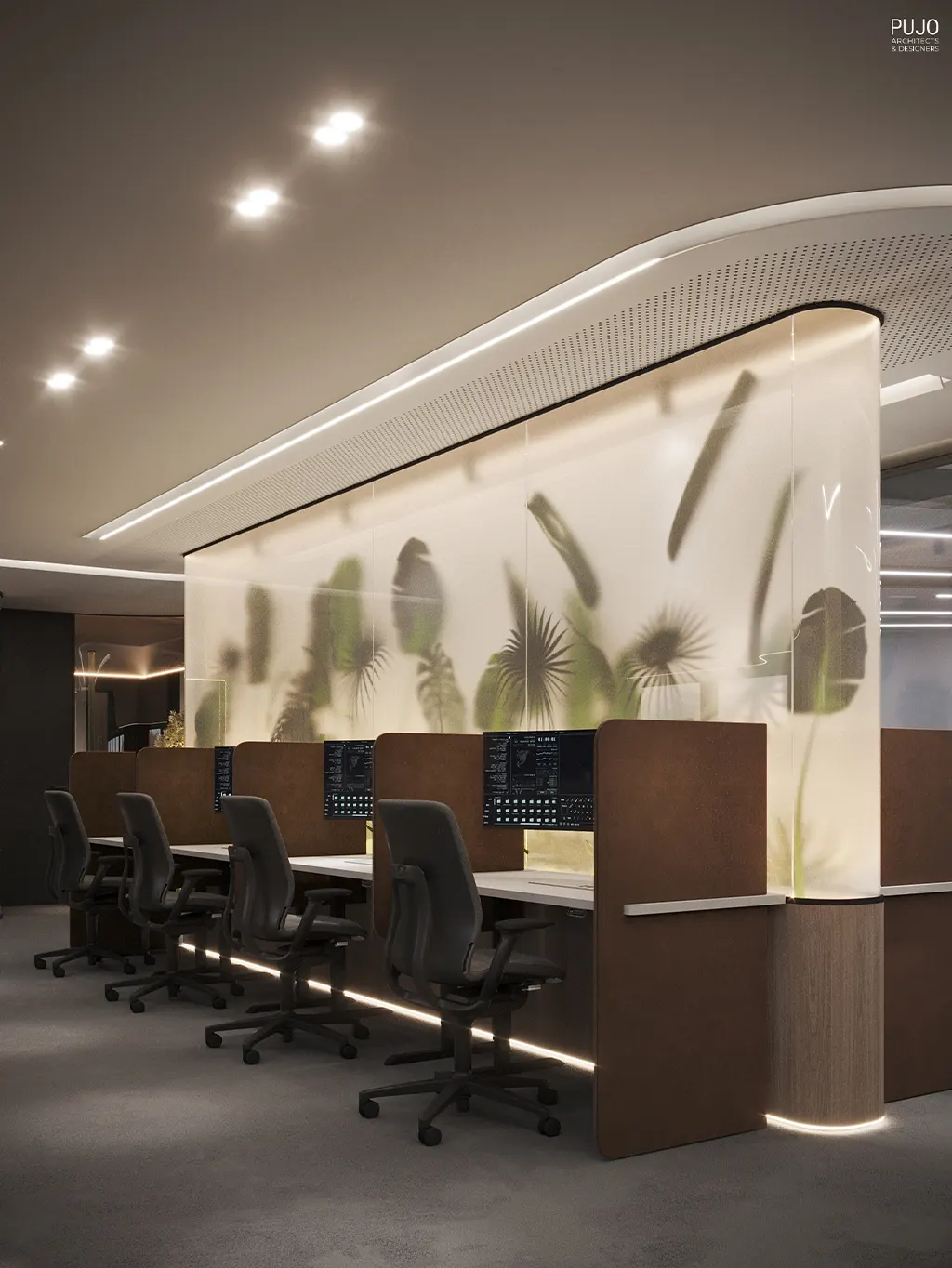 03-pujo-architects-and-designers-portfolio-golden-coast-office-brisbane-australia-interior