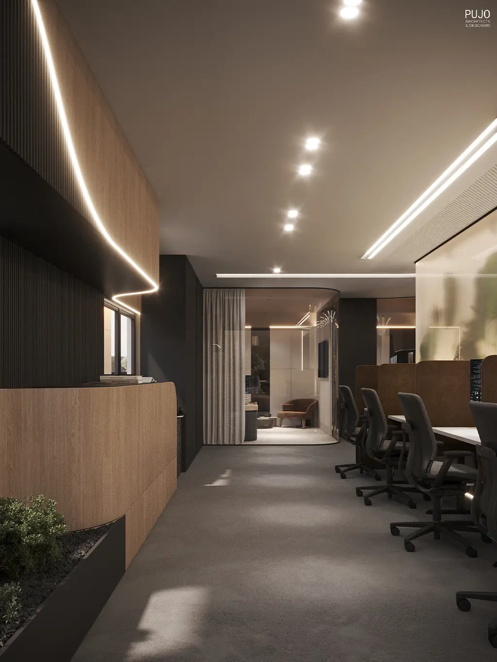04-pujo-architects-and-designers-portfolio-golden-coast-office-brisbane-australia-interior