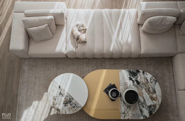 11-pujo-architects-and-designers-portfolio-snowflake-family-house-subotica-serbia-interior-living room-coffetable